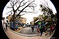 ueno park 11